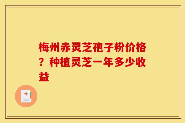 梅州赤灵芝孢子粉价格？种植灵芝一年多少收益