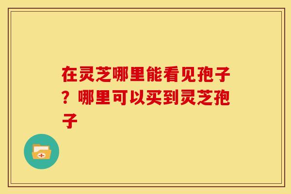 在灵芝哪里能看见孢子？哪里可以买到灵芝孢子