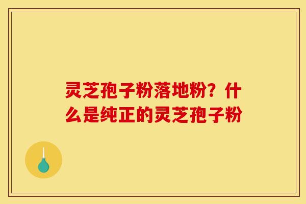 灵芝孢子粉落地粉?什么是纯正的灵芝孢子粉