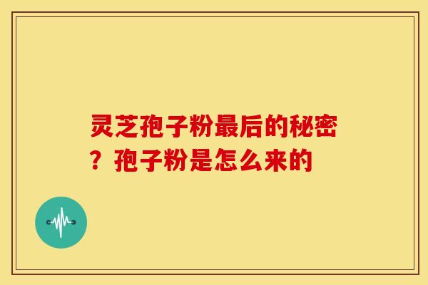 灵芝孢子粉最后的秘密？孢子粉是怎么来的