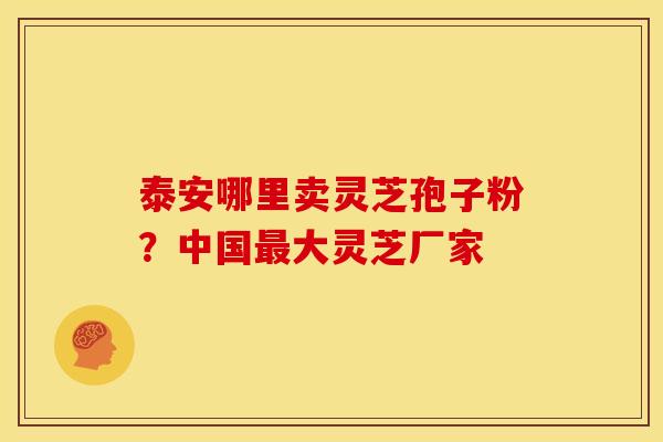 泰安哪里卖灵芝孢子粉?中国最大灵芝厂家