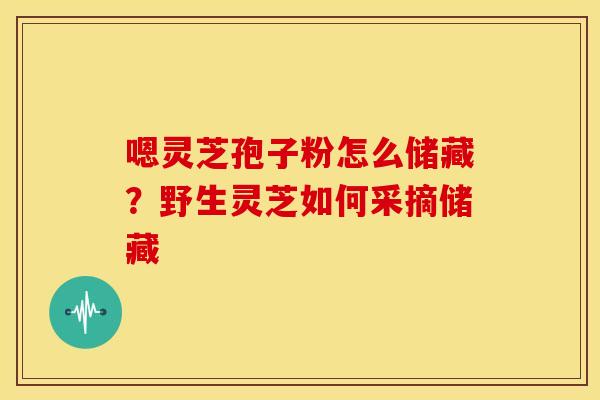 嗯灵芝孢子粉怎么储藏?野生灵芝如何采摘储藏