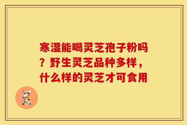 寒湿能喝灵芝孢子粉吗?野生灵芝品种多样,什么样的灵芝才可食用