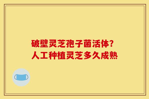 破壁灵芝孢子菌活体?人工种植灵芝多久成熟