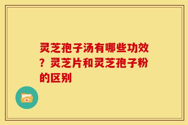 灵芝孢子汤有哪些功效?灵芝片和灵芝孢子粉的区别