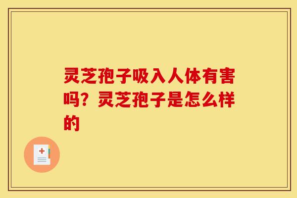 灵芝孢子吸入人体有害吗?灵芝孢子是怎么样的