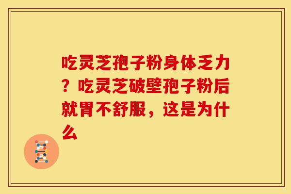 吃灵芝孢子粉身体乏力?吃灵芝破壁孢子粉后就胃不舒服,这是为什么