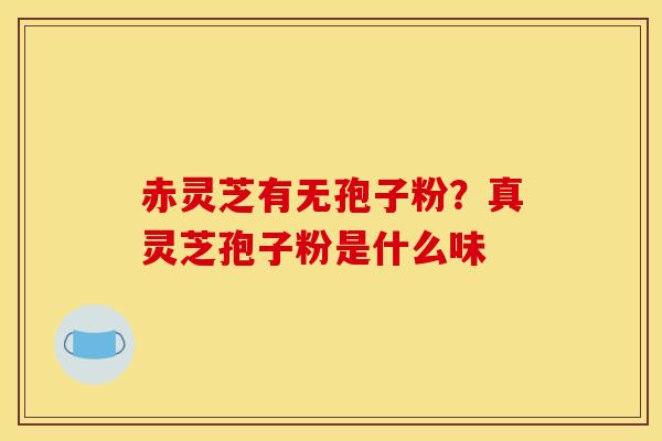 赤灵芝有无孢子粉?真灵芝孢子粉是什么味