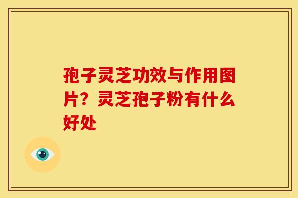 孢子灵芝功效与作用图片?灵芝孢子粉有什么好处