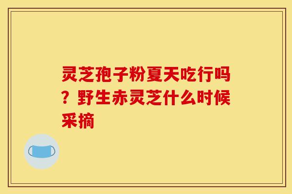 灵芝孢子粉夏天吃行吗?野生赤灵芝什么时候采摘