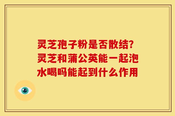 灵芝孢子粉是否散结？灵芝和蒲公英能一起泡水喝吗能起到什么作用