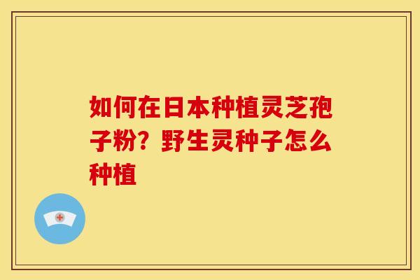 如何在日本种植灵芝孢子粉?野生灵种子怎么种植