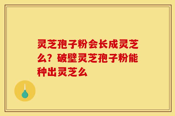 灵芝孢子粉会长成灵芝么?破壁灵芝孢子粉能种出灵芝么