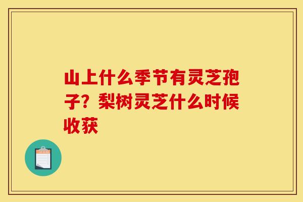 山上什么季节有灵芝孢子?梨树灵芝什么时候收获