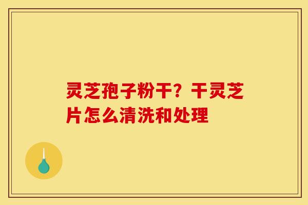 灵芝孢子粉干?干灵芝片怎么清洗和处理