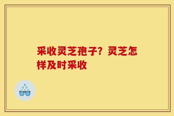 采收灵芝孢子?灵芝怎样及时采收