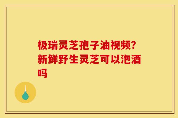 极瑞灵芝孢子油视频?新鲜野生灵芝可以泡酒吗
