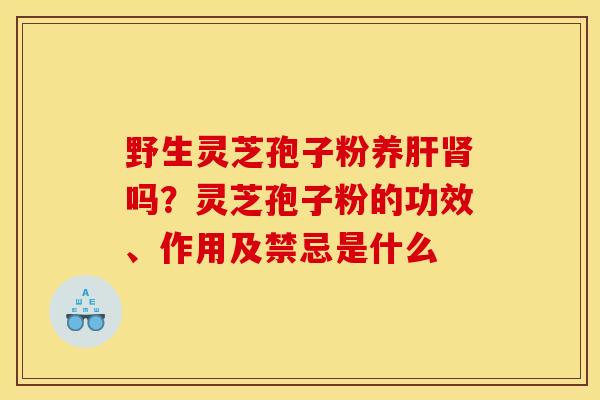 野生灵芝孢子粉养肝肾吗?灵芝孢子粉的功效、作用及禁忌是什么