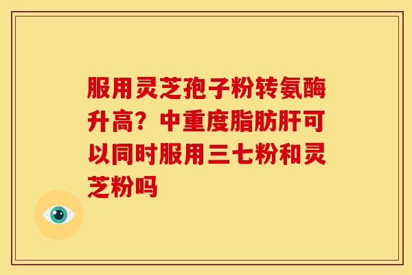 服用灵芝孢子粉转氨酶升高?中重度脂肪肝可以同时服用三七粉和灵芝粉吗