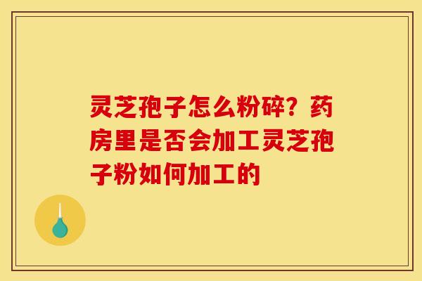 灵芝孢子怎么粉碎?药房里是否会加工灵芝孢子粉如何加工的