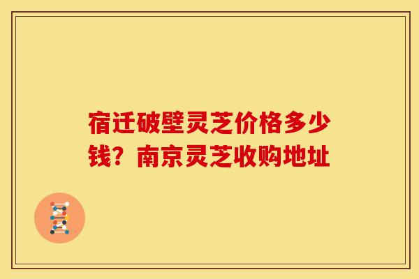 宿迁破壁灵芝价格多少钱？南京灵芝收购地址