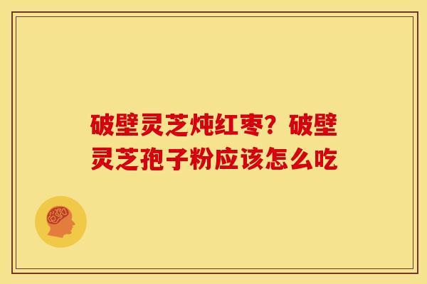 破壁灵芝炖红枣？破壁灵芝孢子粉应该怎么吃