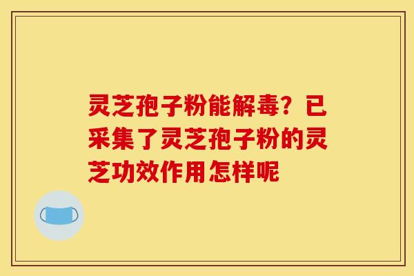 灵芝孢子粉能解毒？已采集了灵芝孢子粉的灵芝功效作用怎样呢