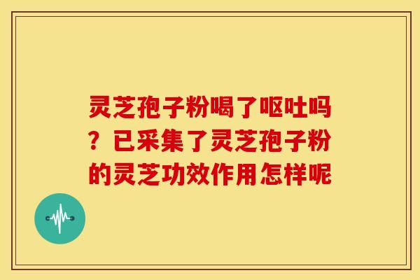 灵芝孢子粉喝了呕吐吗？已采集了灵芝孢子粉的灵芝功效作用怎样呢