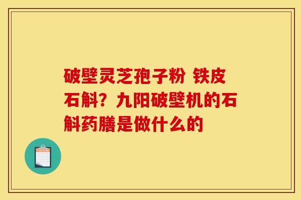 破壁灵芝孢子粉 铁皮石斛?九阳破壁机的石斛药膳是做什么的