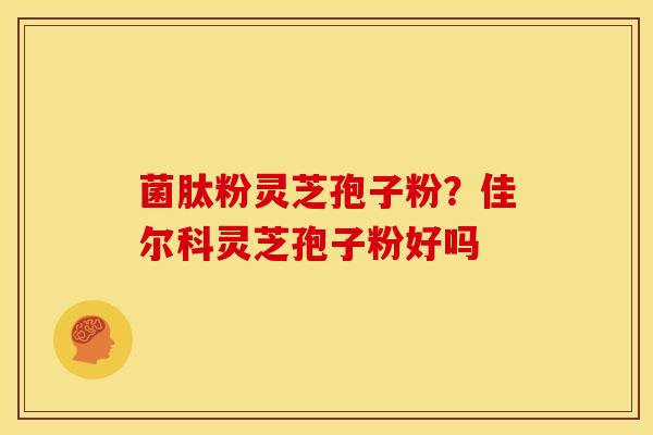 菌肽粉灵芝孢子粉?佳尔科灵芝孢子粉好吗
