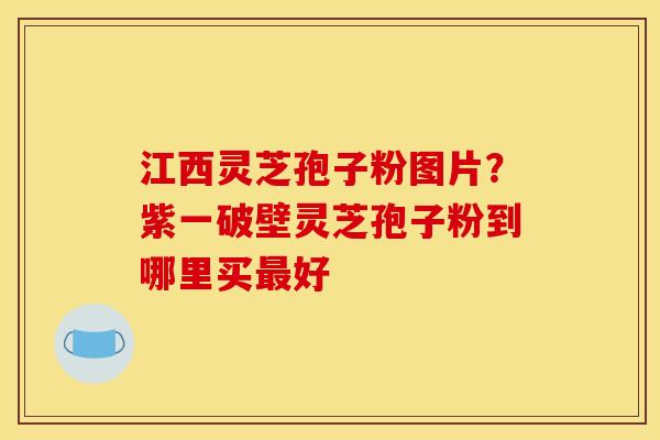 江西灵芝孢子粉图片?紫一破壁灵芝孢子粉到哪里买最好