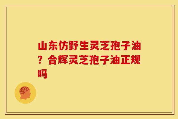 山东仿野生灵芝孢子油?合辉灵芝孢子油正规吗