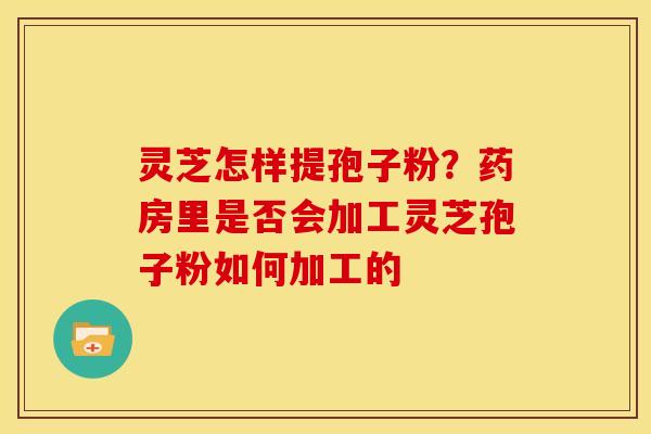 灵芝怎样提孢子粉？药房里是否会加工灵芝孢子粉如何加工的