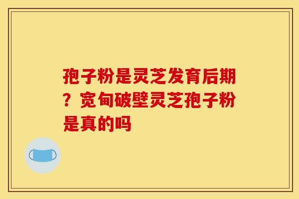 孢子粉是灵芝发育后期?宽甸破壁灵芝孢子粉是真的吗