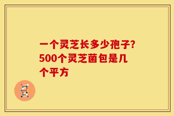一个灵芝长多少孢子?500个灵芝菌包是几个平方