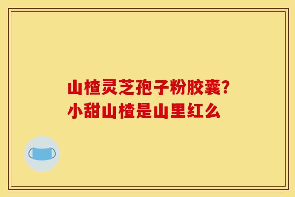 山楂灵芝孢子粉胶囊?小甜山楂是山里红么