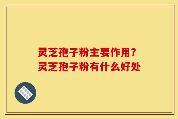 灵芝孢子粉主要作用?灵芝孢子粉有什么好处
