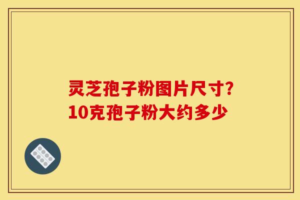 灵芝孢子粉图片尺寸？10克孢子粉大约多少