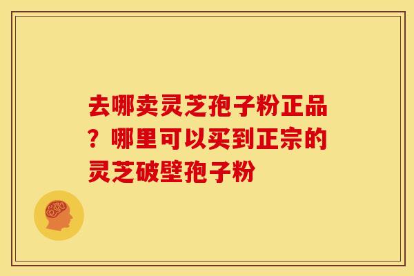 去哪卖灵芝孢子粉正品?哪里可以买到正宗的灵芝破壁孢子粉
