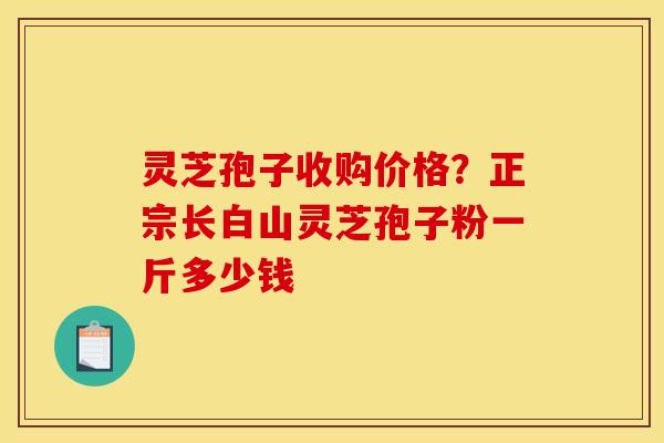 灵芝孢子收购价格?正宗长白山灵芝孢子粉一斤多少钱