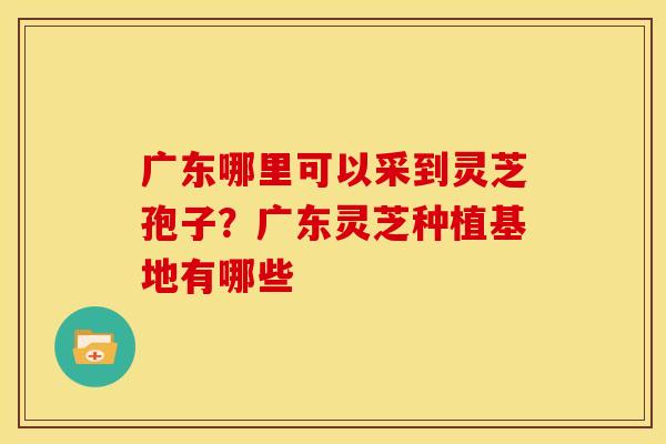 广东哪里可以采到灵芝孢子?广东灵芝种植基地有哪些