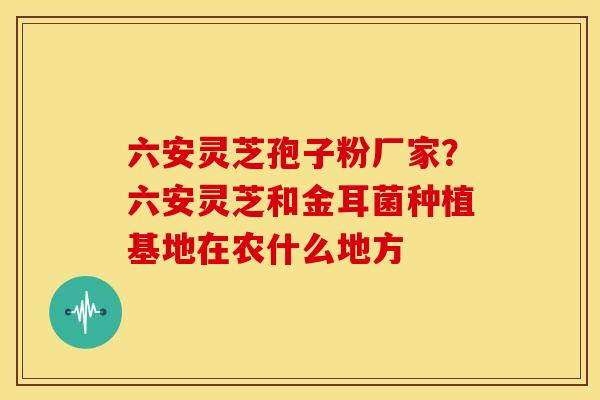 六安灵芝孢子粉厂家?六安灵芝和金耳菌种植基地在农什么地方