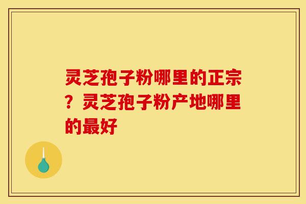 灵芝孢子粉哪里的正宗？灵芝孢子粉产地哪里的最好