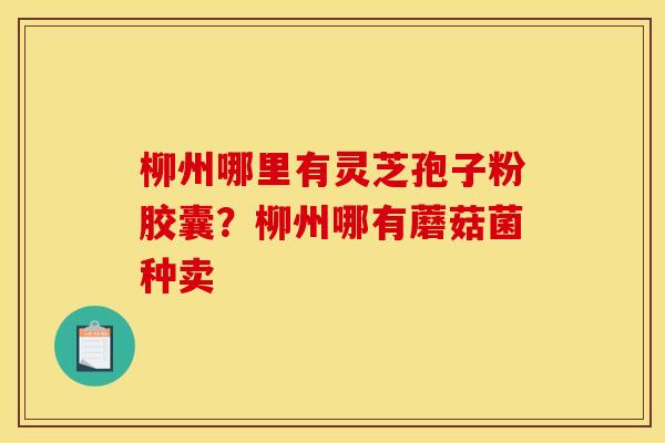 柳州哪里有灵芝孢子粉胶囊？柳州哪有蘑菇菌种卖