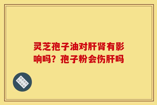 灵芝孢子油对肝肾有影响吗?孢子粉会伤肝吗