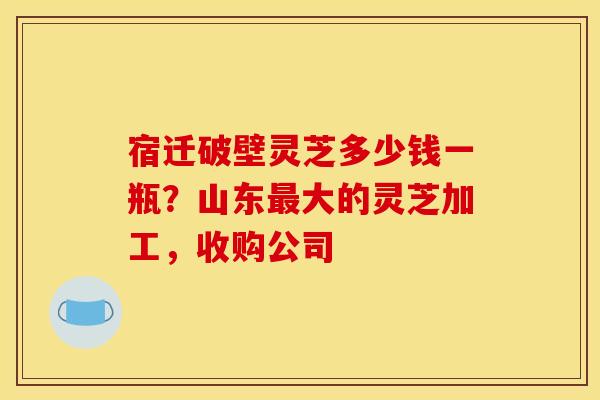 宿迁破壁灵芝多少钱一瓶？山东最大的灵芝加工，收购公司