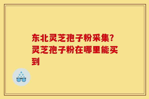 东北灵芝孢子粉采集？灵芝孢子粉在哪里能买到