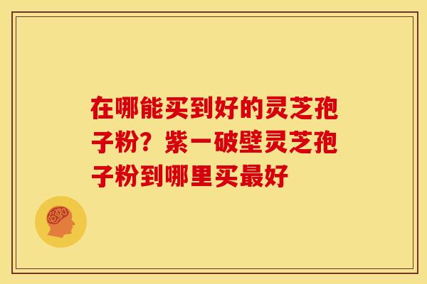 在哪能买到好的灵芝孢子粉?紫一破壁灵芝孢子粉到哪里买最好