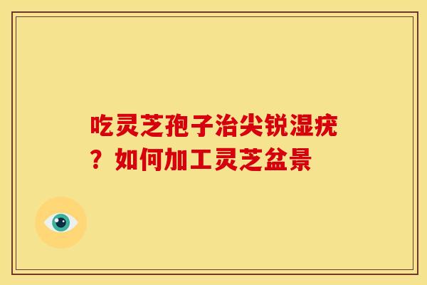 吃灵芝孢子治尖锐湿疣？如何加工灵芝盆景