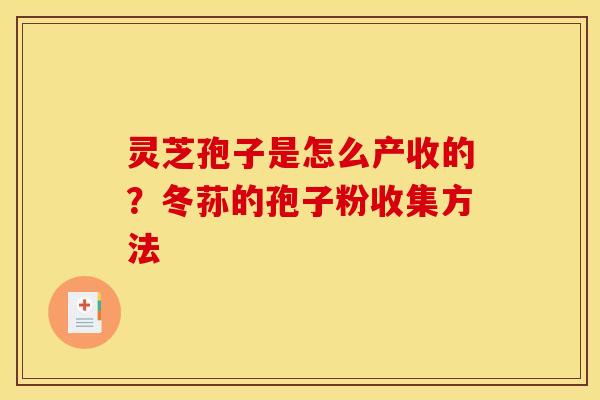 灵芝孢子是怎么产收的？冬荪的孢子粉收集方法